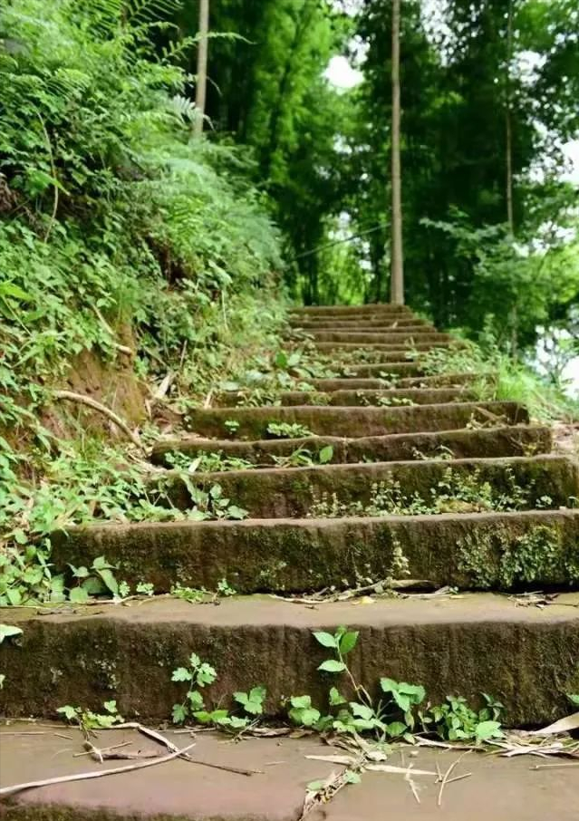 成都周边一日游(1.5h就到！去这个小众地爬山吸氧、看山间石刻佛像、吃生态美食)