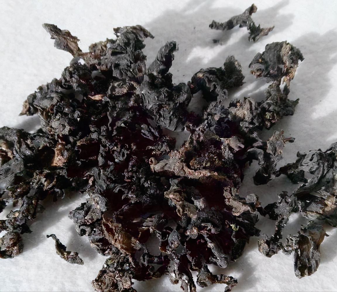 地衣图片(地衣为什么叫雷公屎)