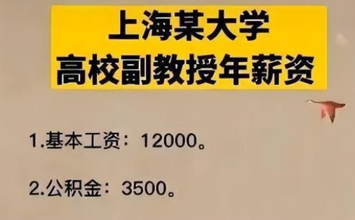 985高校副教授晒年薪，实际金额引热议，网友：我就赚了个公积金