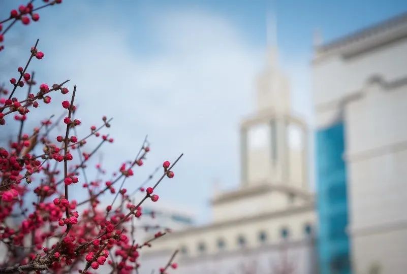多图预警！兰大最美“校花”心动来袭，颜值超高，简直太惊艳！