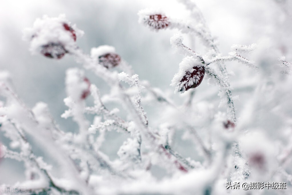 怎么拍雪景？一共5个摄影技巧，相机参数一定先设置好