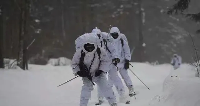 这个冬奥项目竟然来自战争!终于理解小栓子为什么会滑雪了