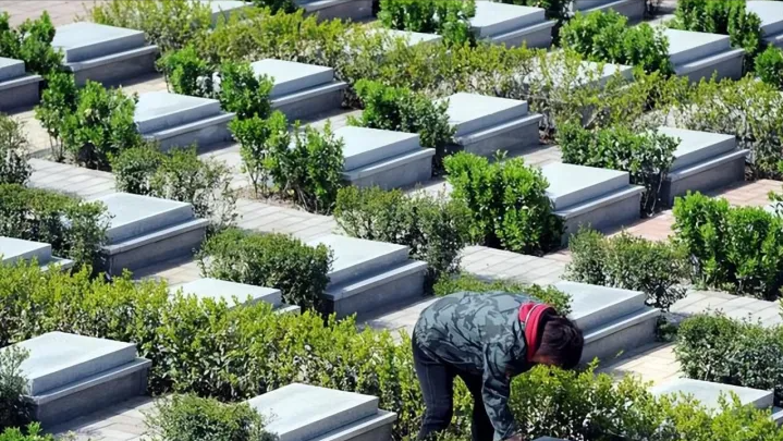 25万买的房子不住，专门用来放置骨灰盒，邻居发现要报警，合理吗