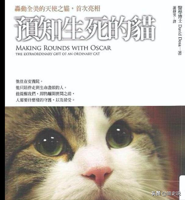 美国小猫奥斯卡，能准确预言人类生死，小猫预言比医生还准确