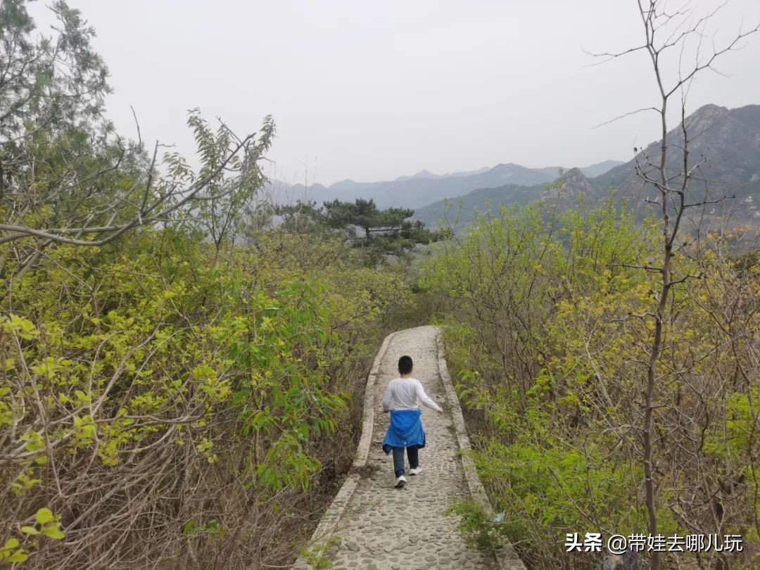 昌平旅游景点（昌平免费景区的环山步道游览推荐）