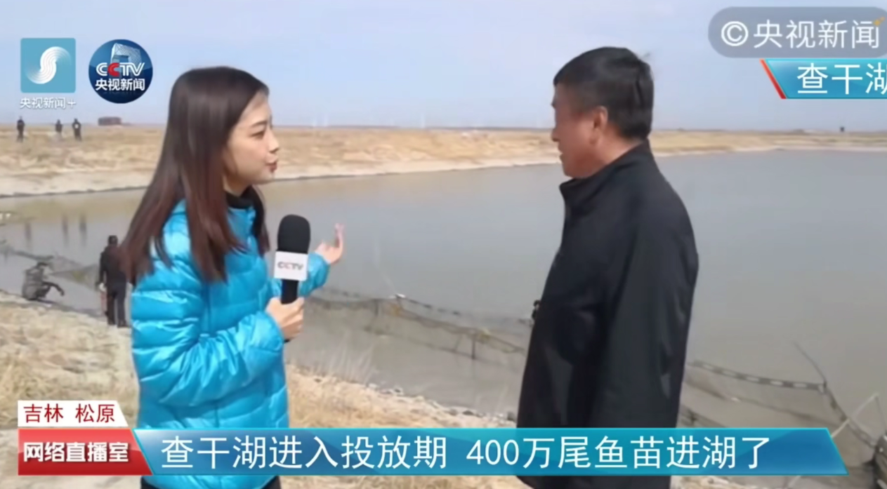 查干湖头鱼拍出2999999元！查干湖年年大丰收，哪来那么多的鱼？