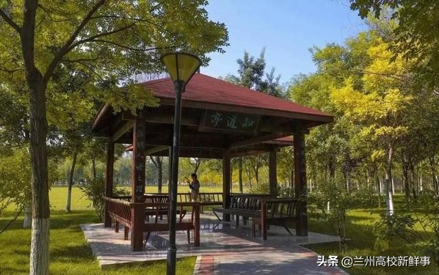 西北地区的3所财经类高校，排名及实力接近，录取分数却差异很大