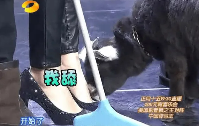 网友“越黑越红”的6位女星，个个因祸得福，你说气人不气人