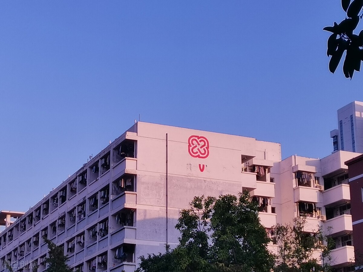 职教水平高的四所大学，就业率以及就业质量高，专升本率也不低