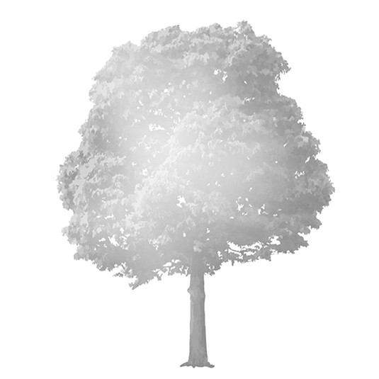 不懂编程也能用！10+ 个 GitHub 趣味项目，能打字弹琴、制作双层图