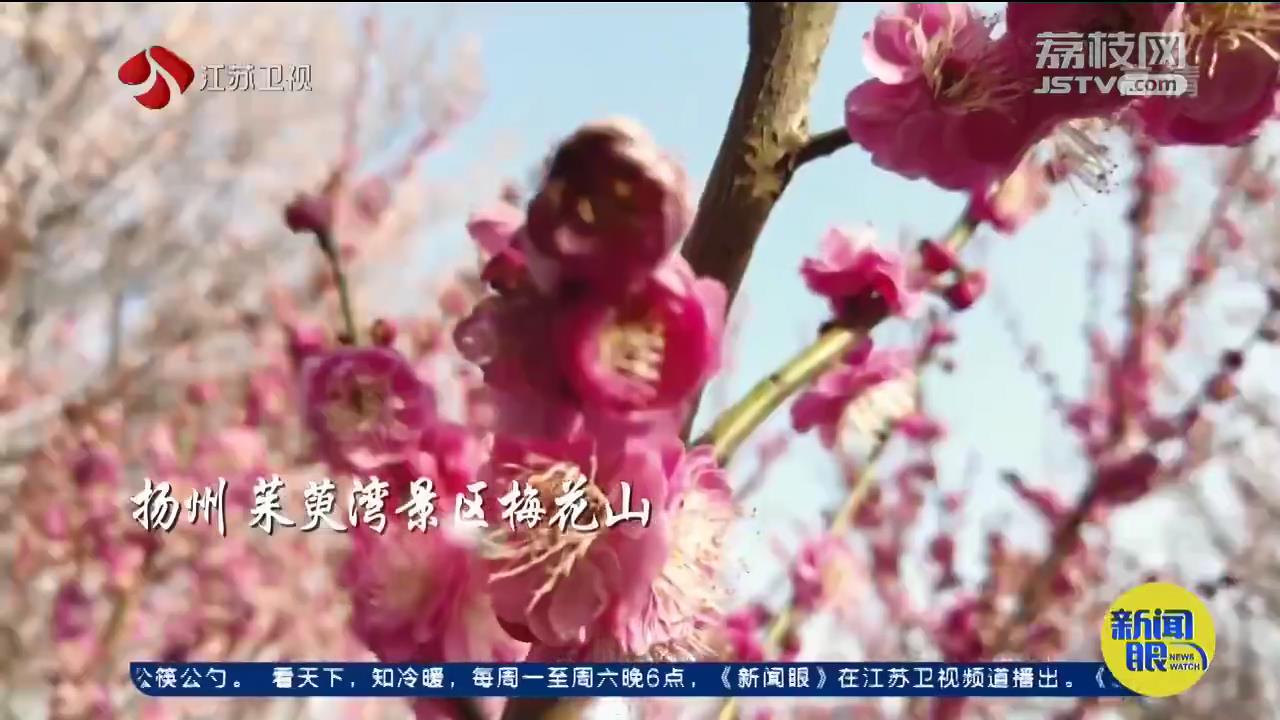春姑娘来了！苏州迎来史上最早春天，比常年早24天
