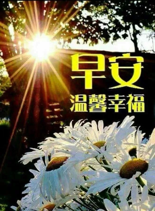 微信朋友圈早上好人人点赞的简单干净句子 健康才是宝、快乐永不老