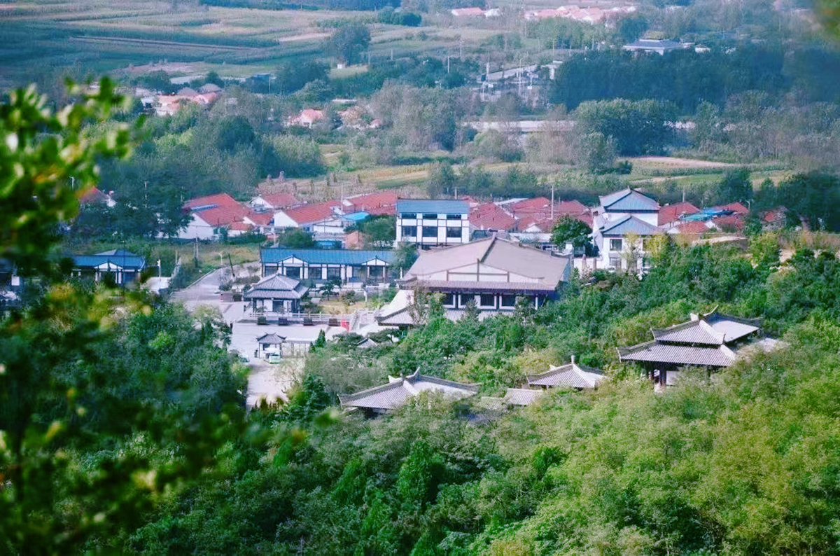 青島廢棄博物館，藏有巨鯨標(biāo)本和骨骼，被一個(gè)老人日夜守護(hù)著