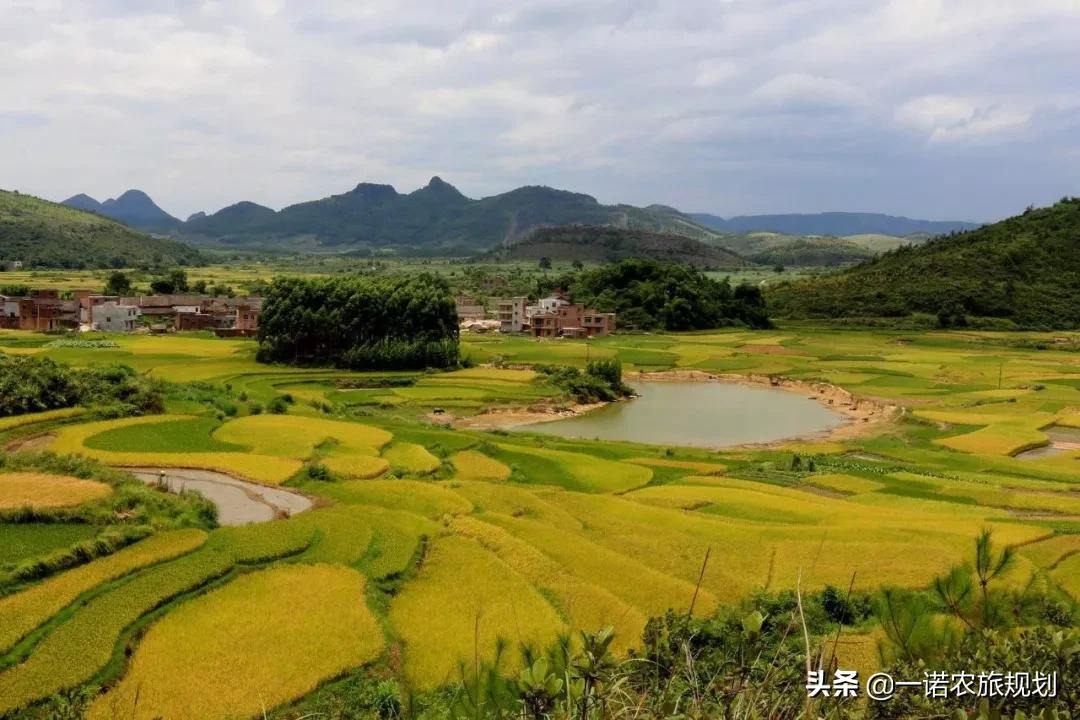 双减政策下,如何凭借“5+2”模式发展农旅综合体
