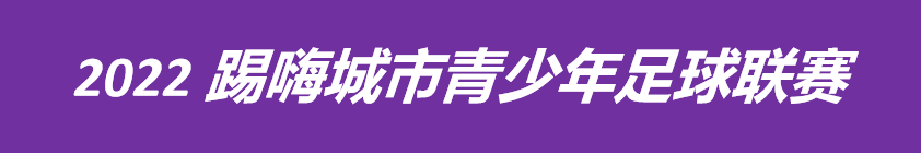 合肥有哪里看足球比赛的好地方(2022踢嗨城市（合肥赛区）青少年足球联赛本周末正式拉开帷幕)