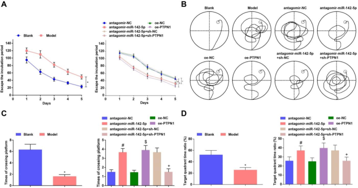 脑科学日报：“网瘾”行为是如何形成的？