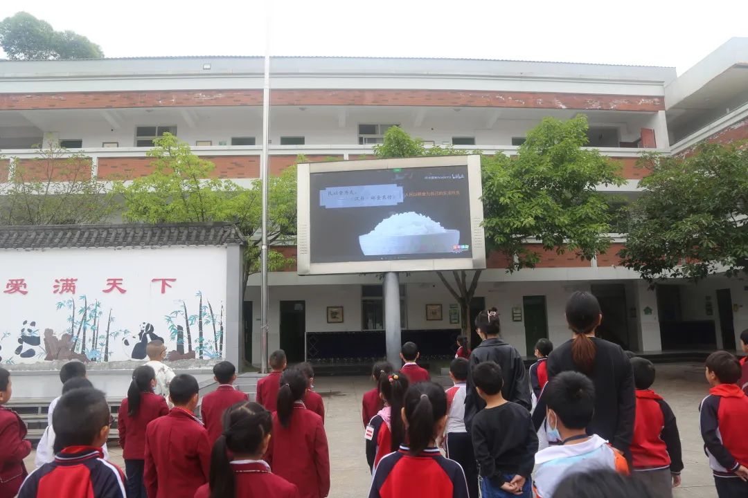 关注食品安全，争做健康少年｜合江小学举行第十四周主题升旗仪式