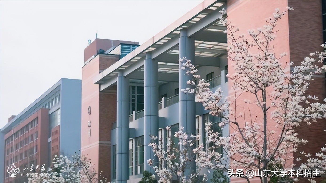 芯片人才紧缺！这类专业很“火爆”，毕业生入职华为、中芯国际等名企！