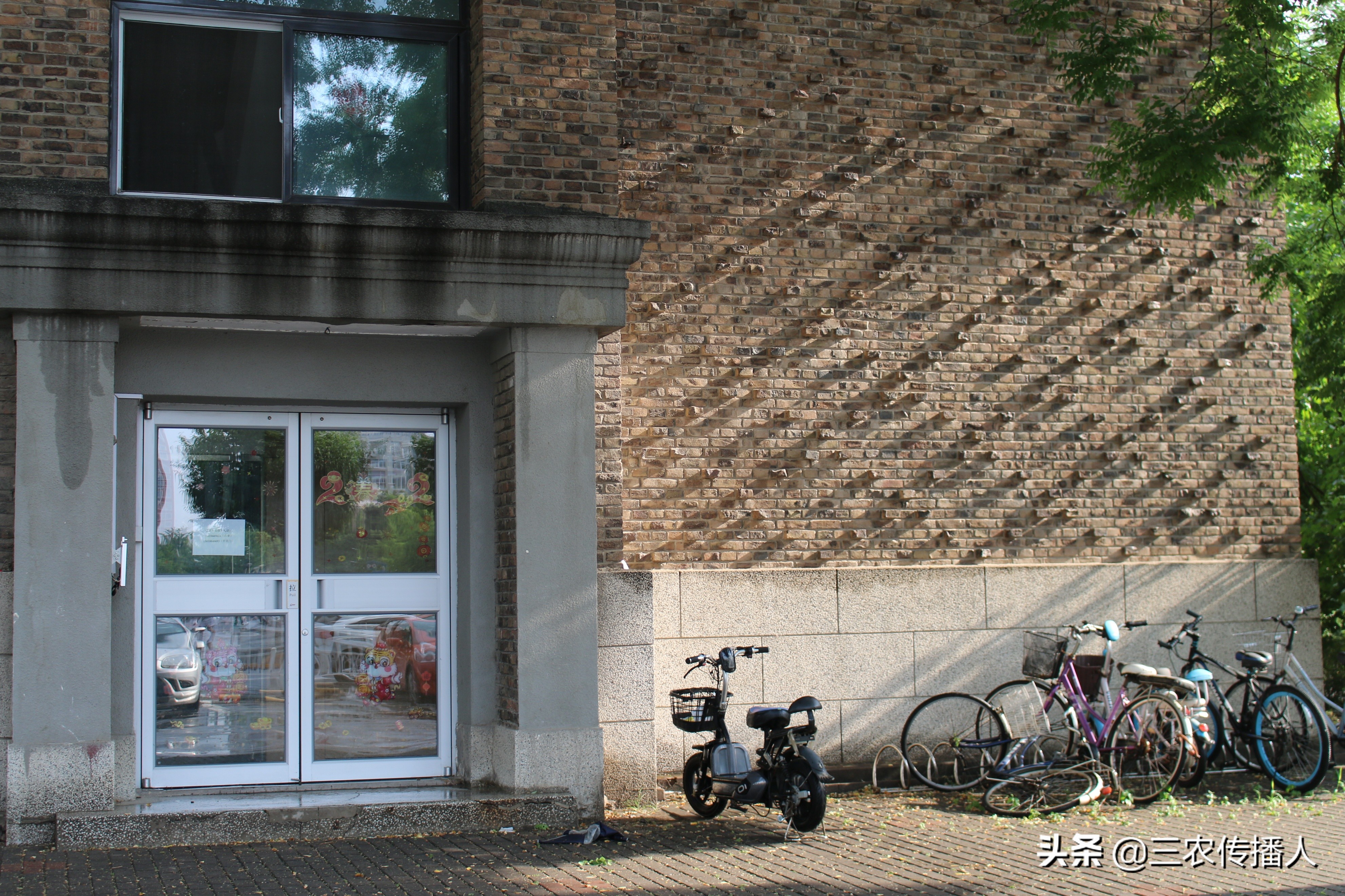 高考将至 | 用照片带你领略中国农业大学~ 是你向往的大学吗？