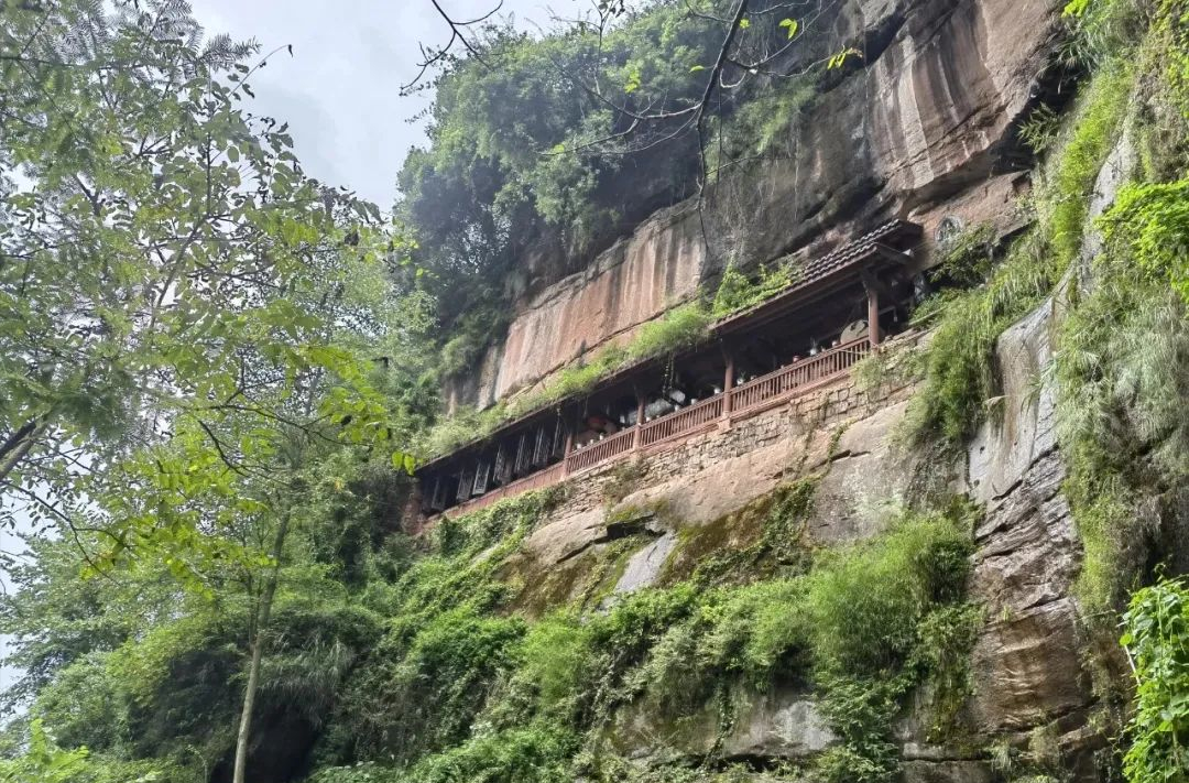 成都周边一日游(1.5h就到！去这个小众地爬山吸氧、看山间石刻佛像、吃生态美食)