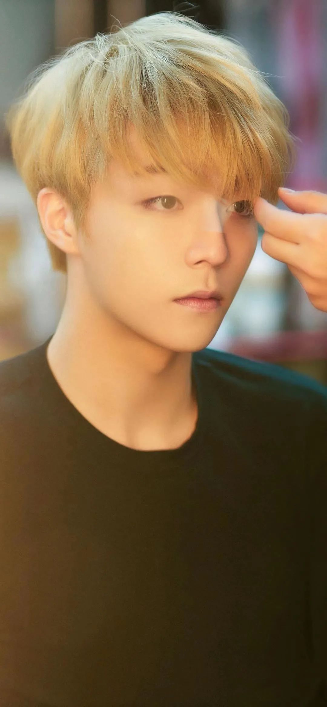 精选男明星壁纸合集｜秦霄贤｜白敬亭｜胡歌｜车银优｜陈立农