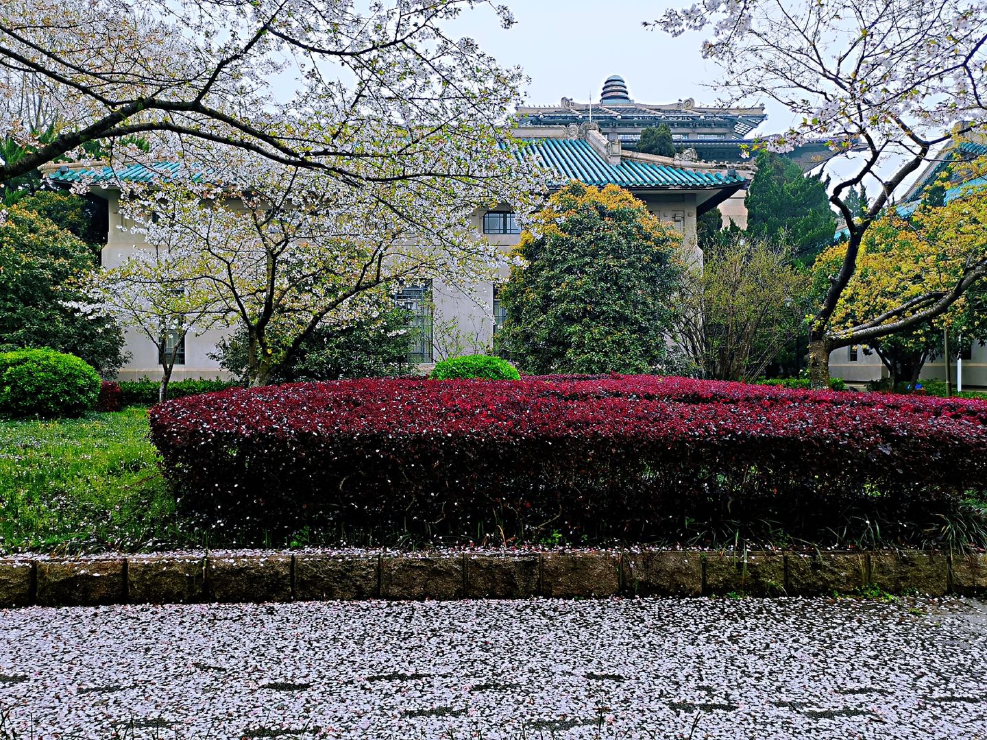 武汉哪些大学（聊聊湖北高校的层次）