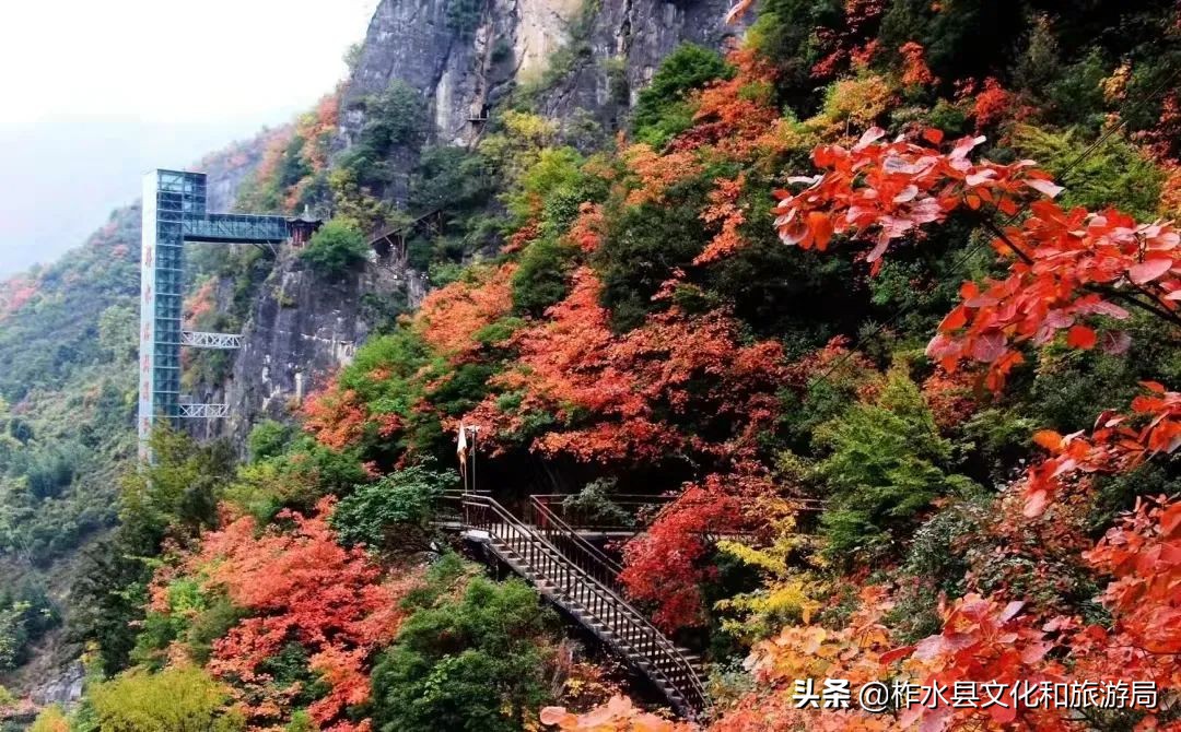 柞水旅遊攻略景點必去(來柞水) - 悅聞天下