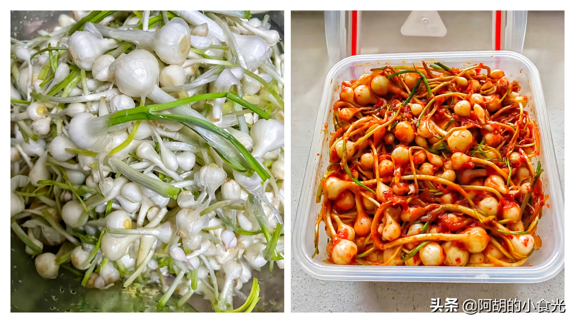 野葱的功效与作用(野葱) - 行就行