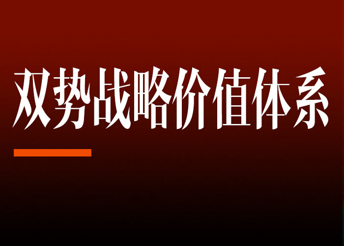 品牌延伸策略：从单一产品到多元化品牌的成功转型之路