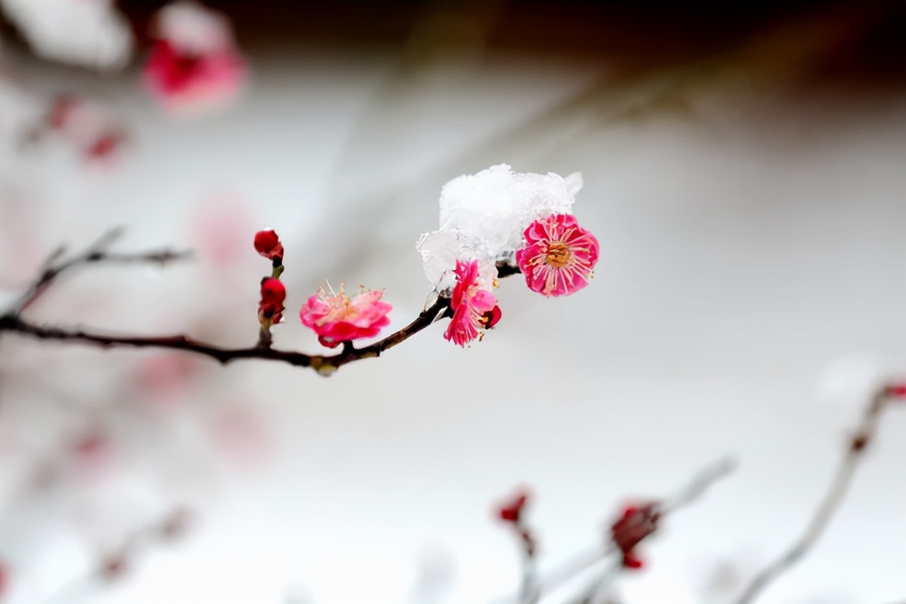 成年人最顶级的自律：拒绝诱惑