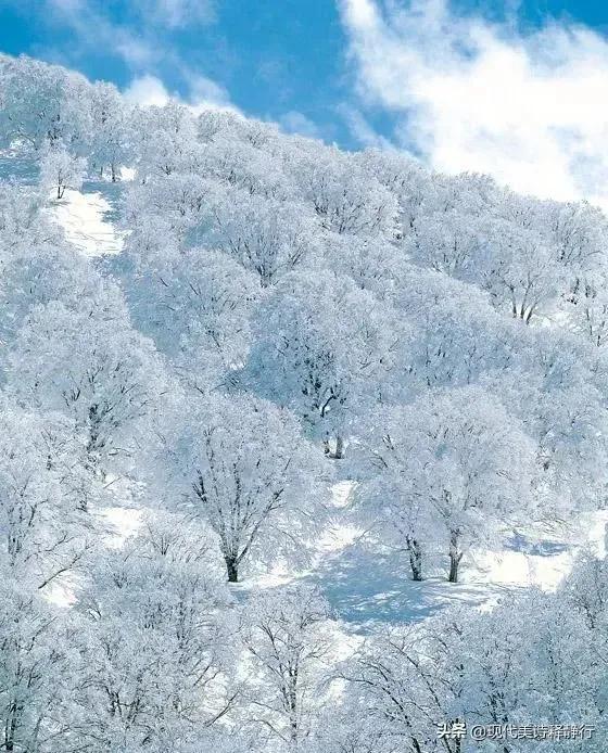 扫雪心心追望客，低头数数近归程