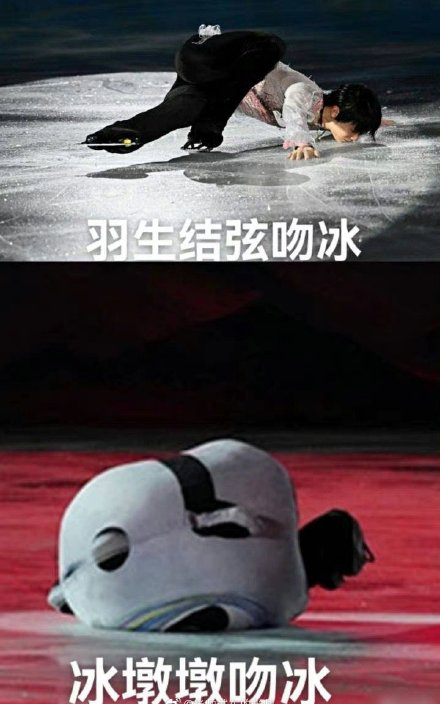 冰墩墩名场面可爱集