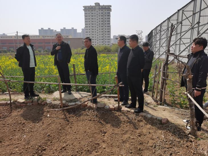 �����ָ��Ͻ����˫ʮһ�١�����ѡַ����