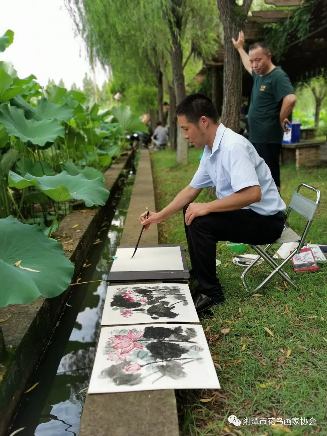 湘潭市花鸟画家协会盘龙大观园荷花写生活动圆满成功