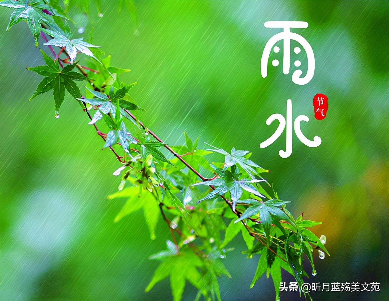 雨水：一场春雨一场暖，一份相思一份情