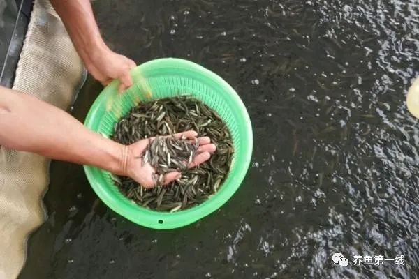 不同的六种施药方法各有优点缺点，有不同的治疗目的