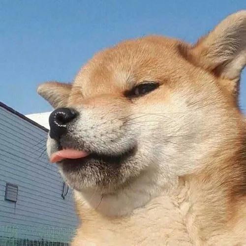 头像：既有内涵有不失幽默的头像