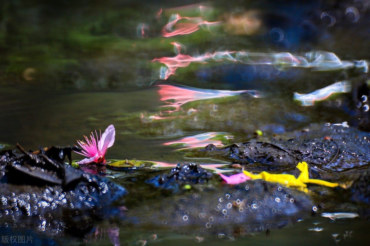 世间自有轮回，凡事都有因果。有一种遇见，不在路上，而在心上