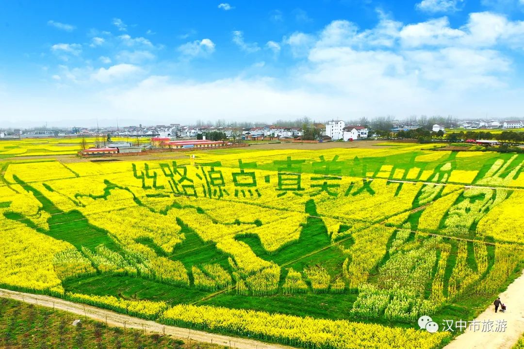 重磅！2022中国最美油菜花海汉中旅游文化节最全优惠政策来啦！