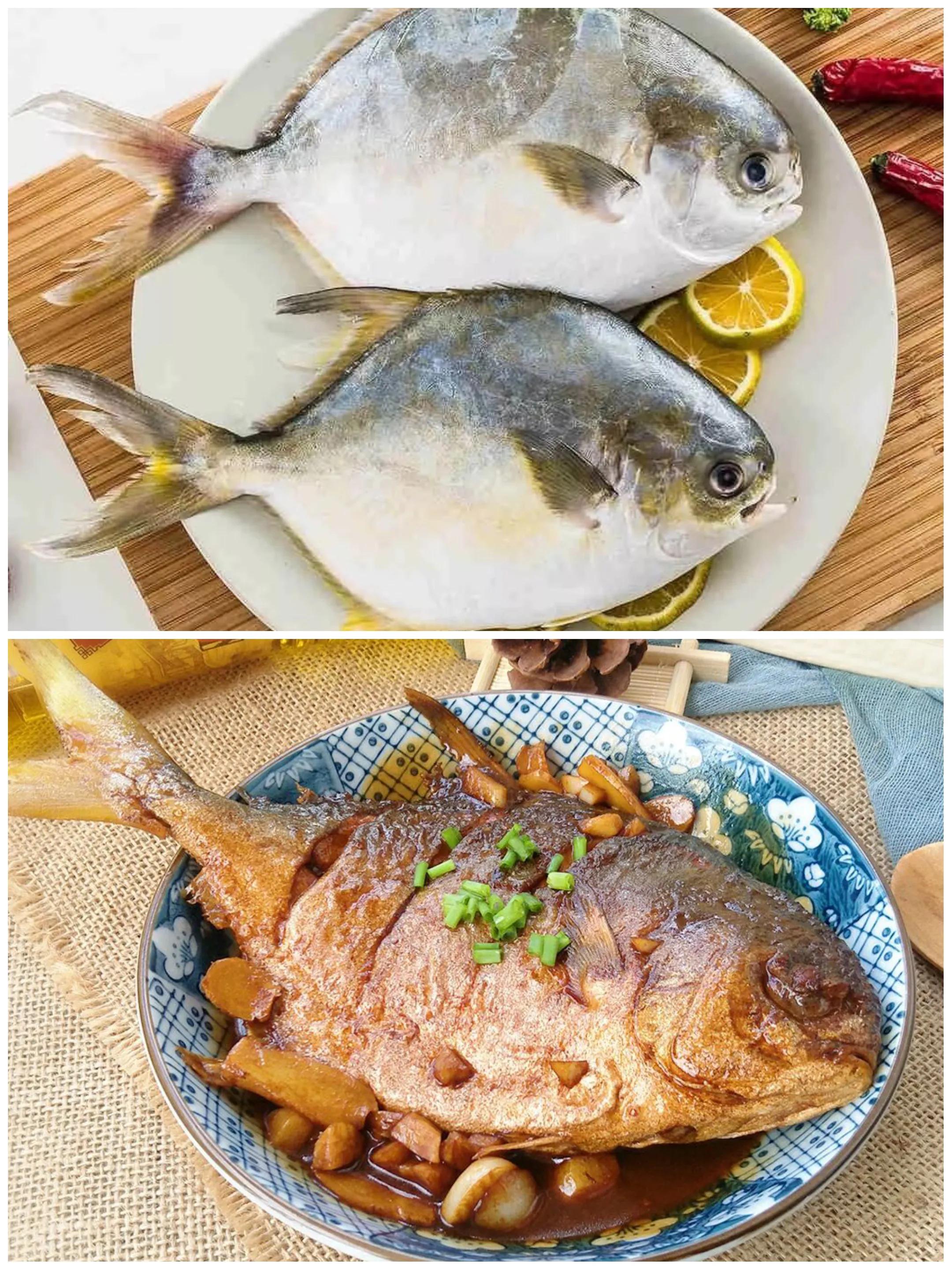 常吃的海鱼大全!请收藏,旅游能用上