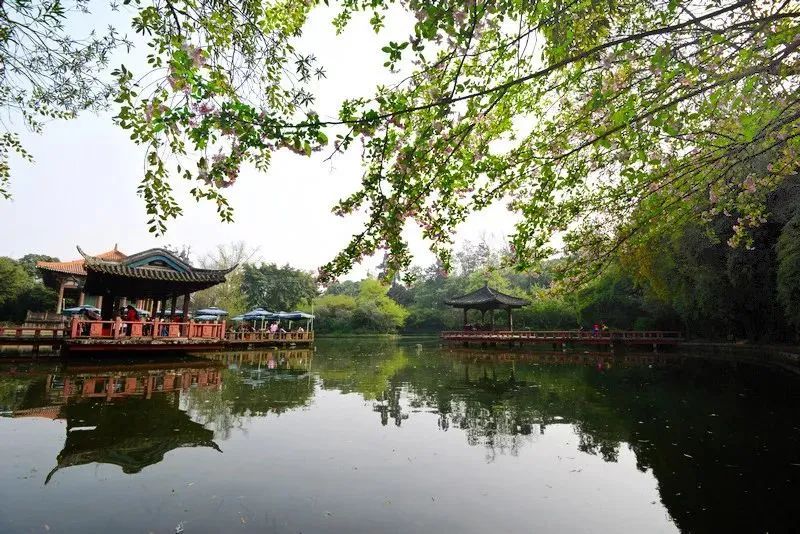 吐血整理！成都市内46个好耍地汇总！玫瑰花海、山景古街全都有