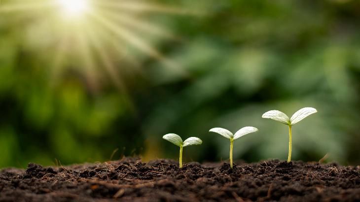 「亲历者」在玫琳凯，我平稳地度过了职场焦虑期