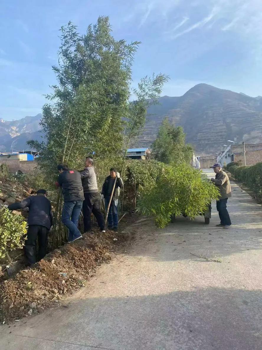 增强代表履职实效助推党委中心工作莲花寺镇组织区镇人大代表视察农村