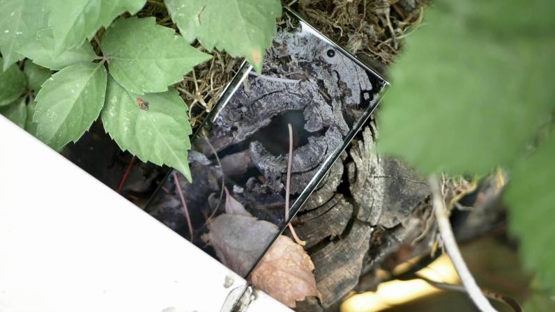 情怀粉自述：2022年，三星Note10+依然好用