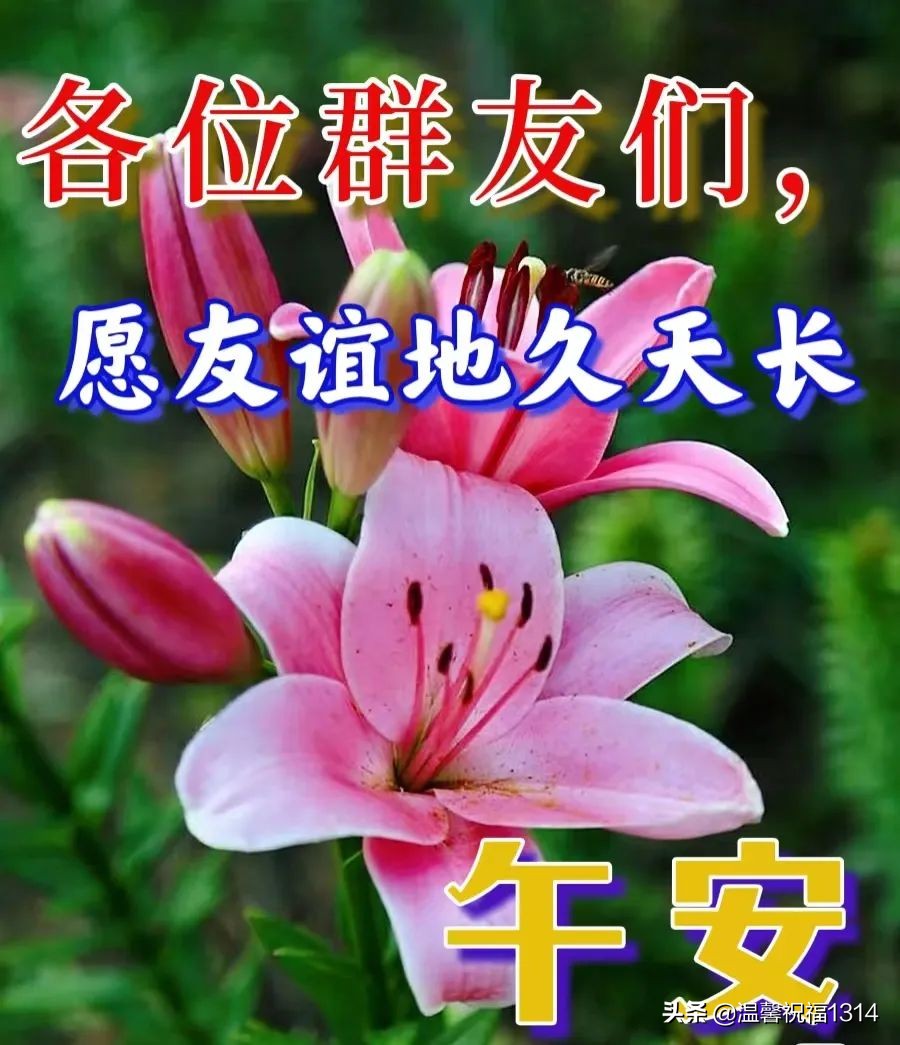 祝身体健康的祝福语(6月23日早安祝福精选！最美的愿望，是我们彼此健康！早上好)