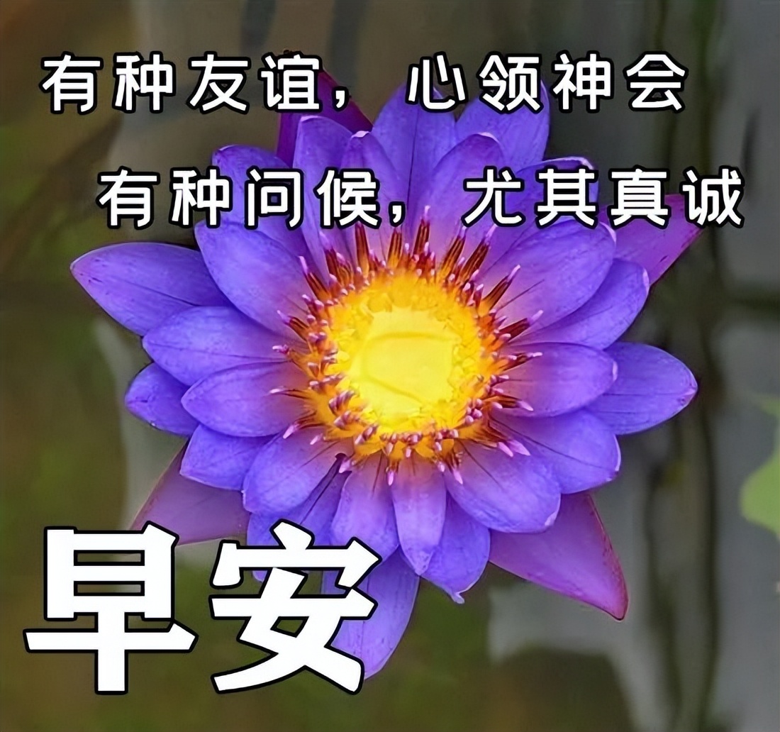 2022.04.18早安心语，早上好正能量感悟美句，愿你每天开开心心