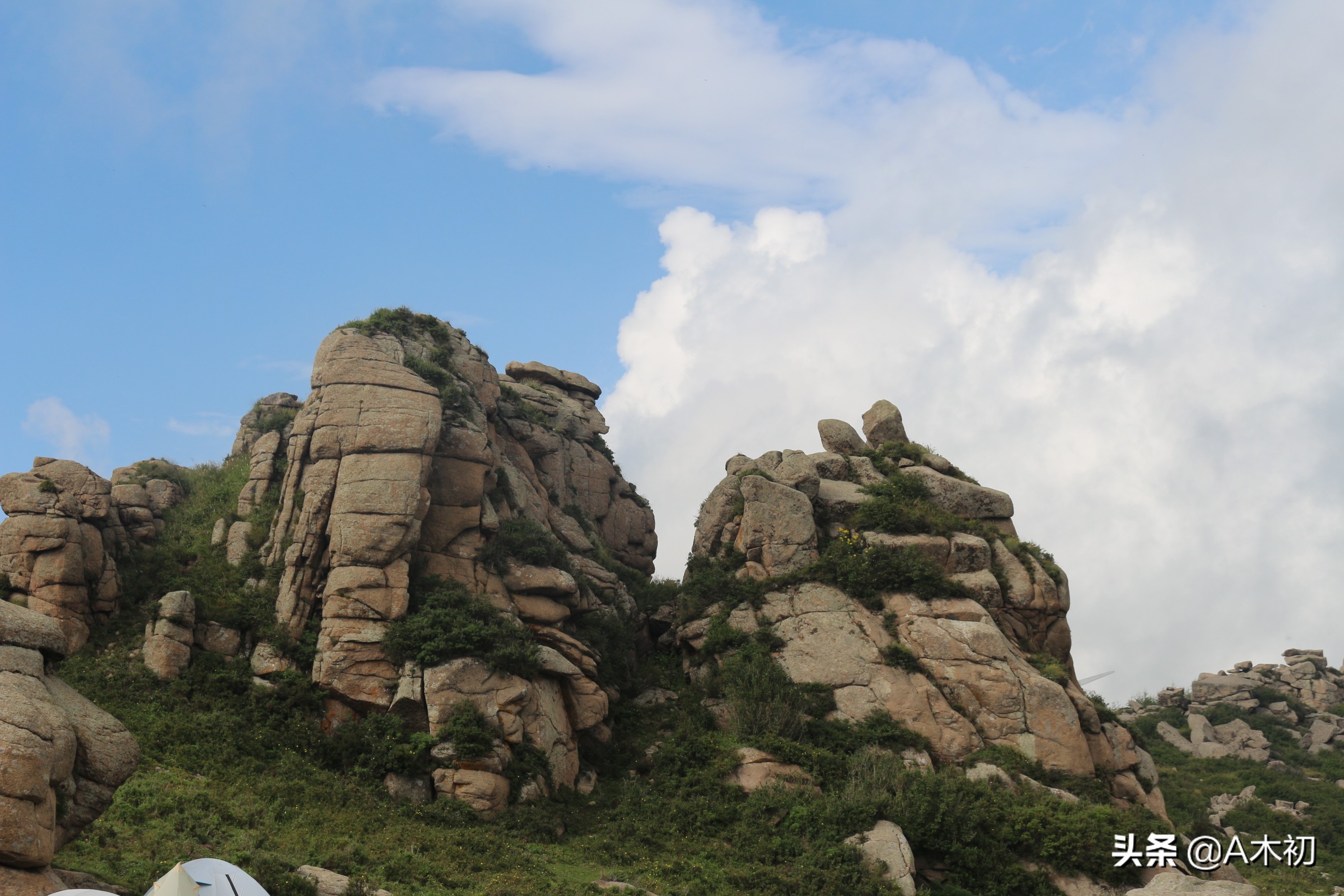 《礼记》原文及译文