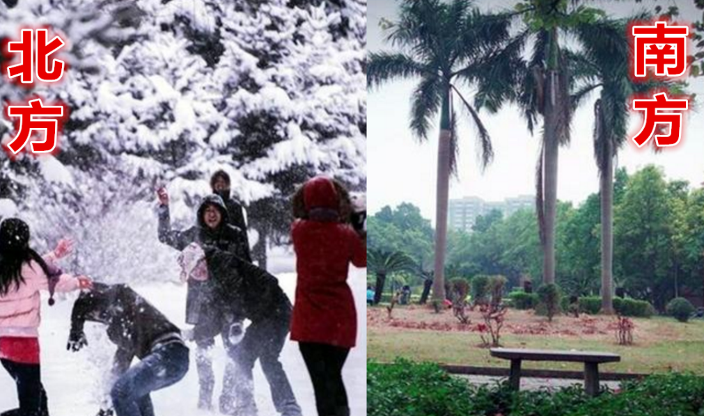 1张“南北”对比图火了，北方大学PK南方大学，伯仲之间难分胜负