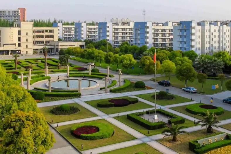 中共中央、国务院发文支持！这类人才需求迫切、就业客观，缺口达百万！