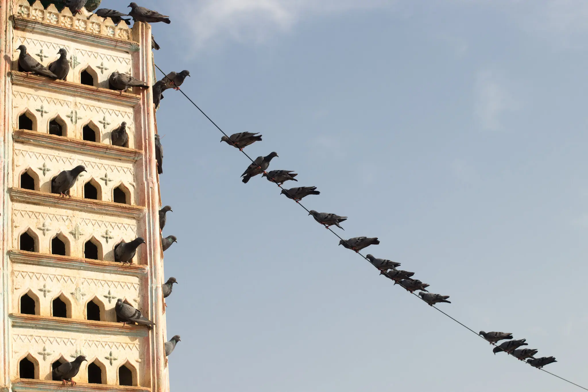 记录印度独特的鸟舍